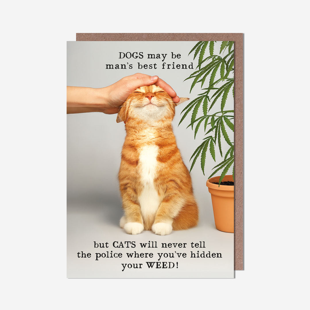 Cats Never Tell Police Where Weed Is General Card
