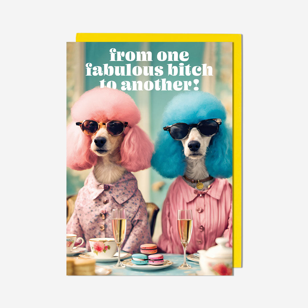 From One Fabulous Bitch To Another! Birthday Card
