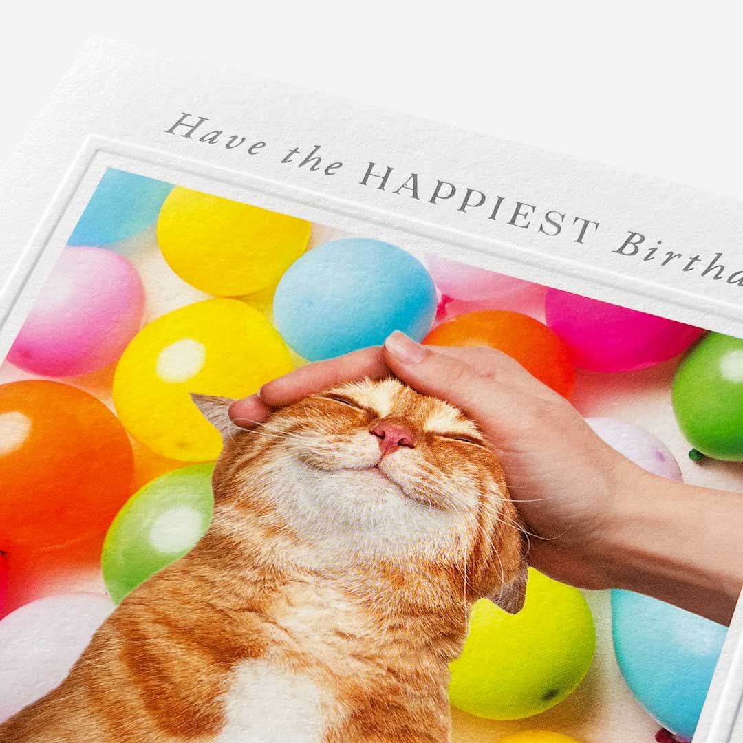 Happiest Cat Birthday Card