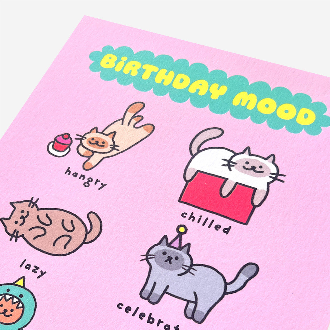 Cats birthday mood