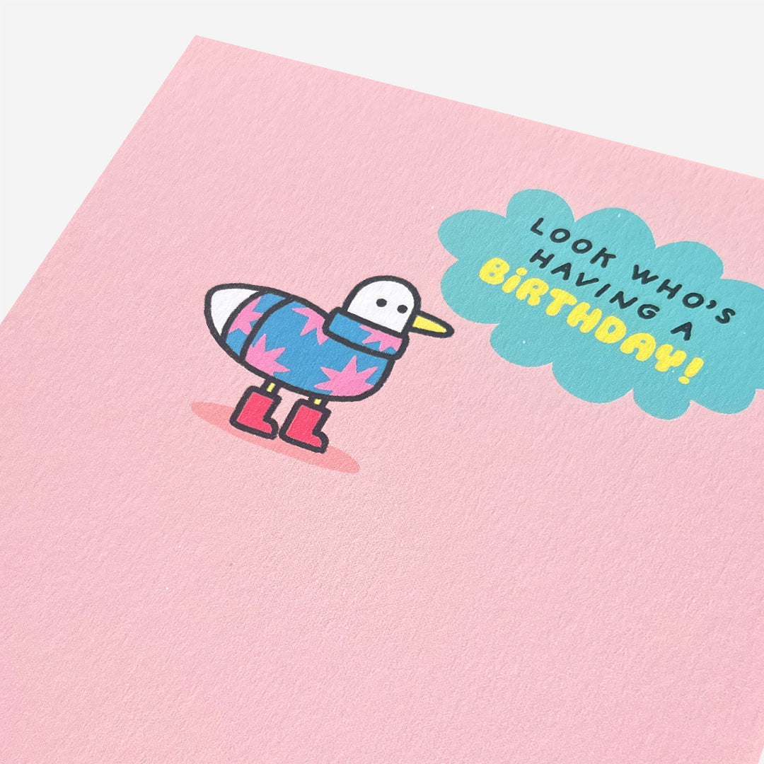 Duck in jumper