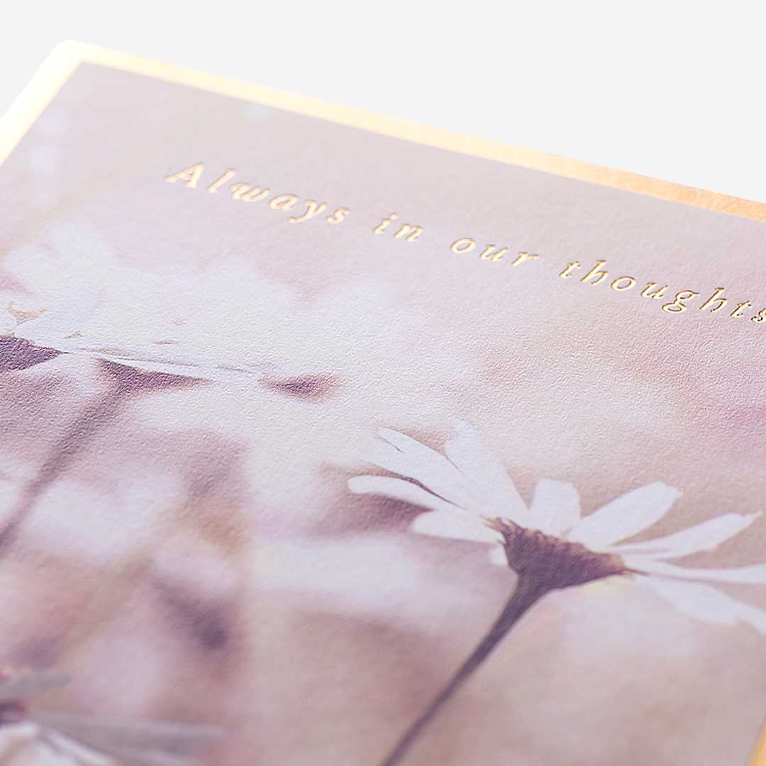 Always In Our Thoughts Camomile Thinking Of You Card