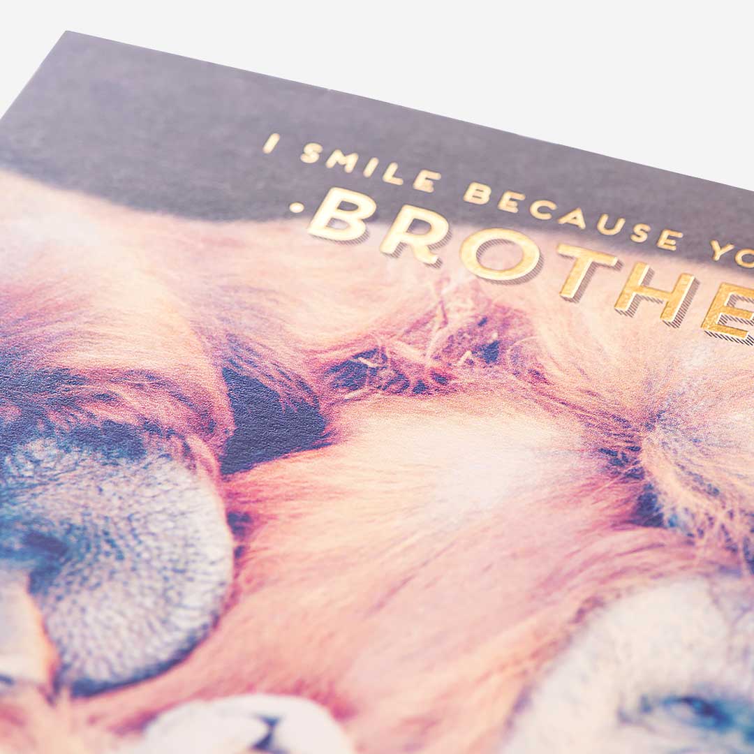 Smile Because You're My Brother Birthday Card