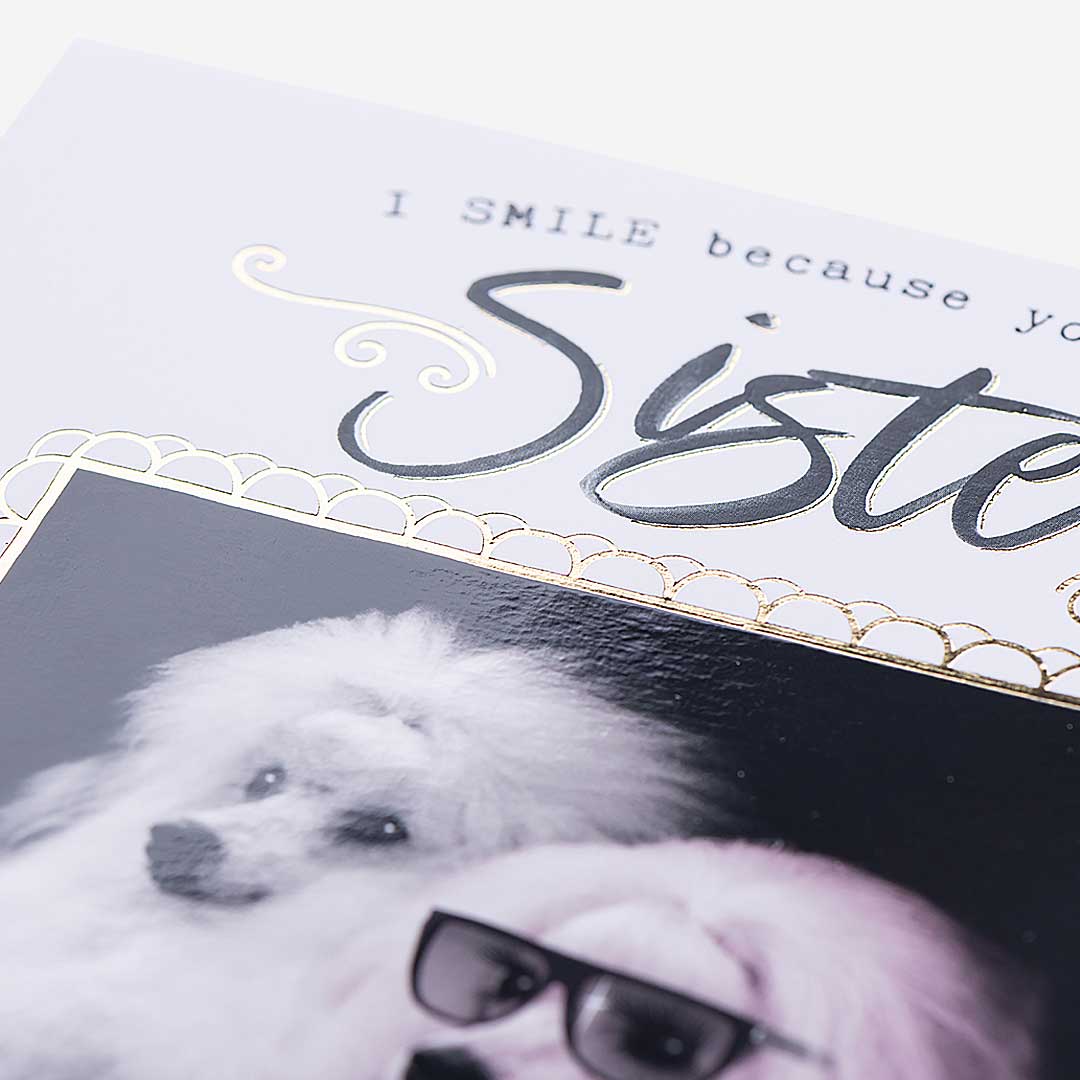 Poodles Nothing You Can Do Sister Birthday Card