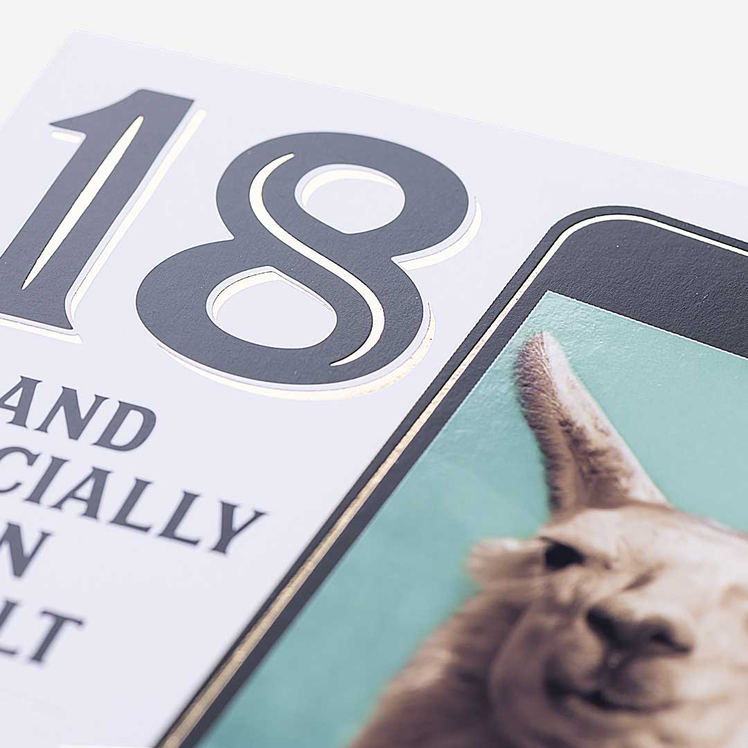 18 Llama Officially An Adult 18th Birthday Card