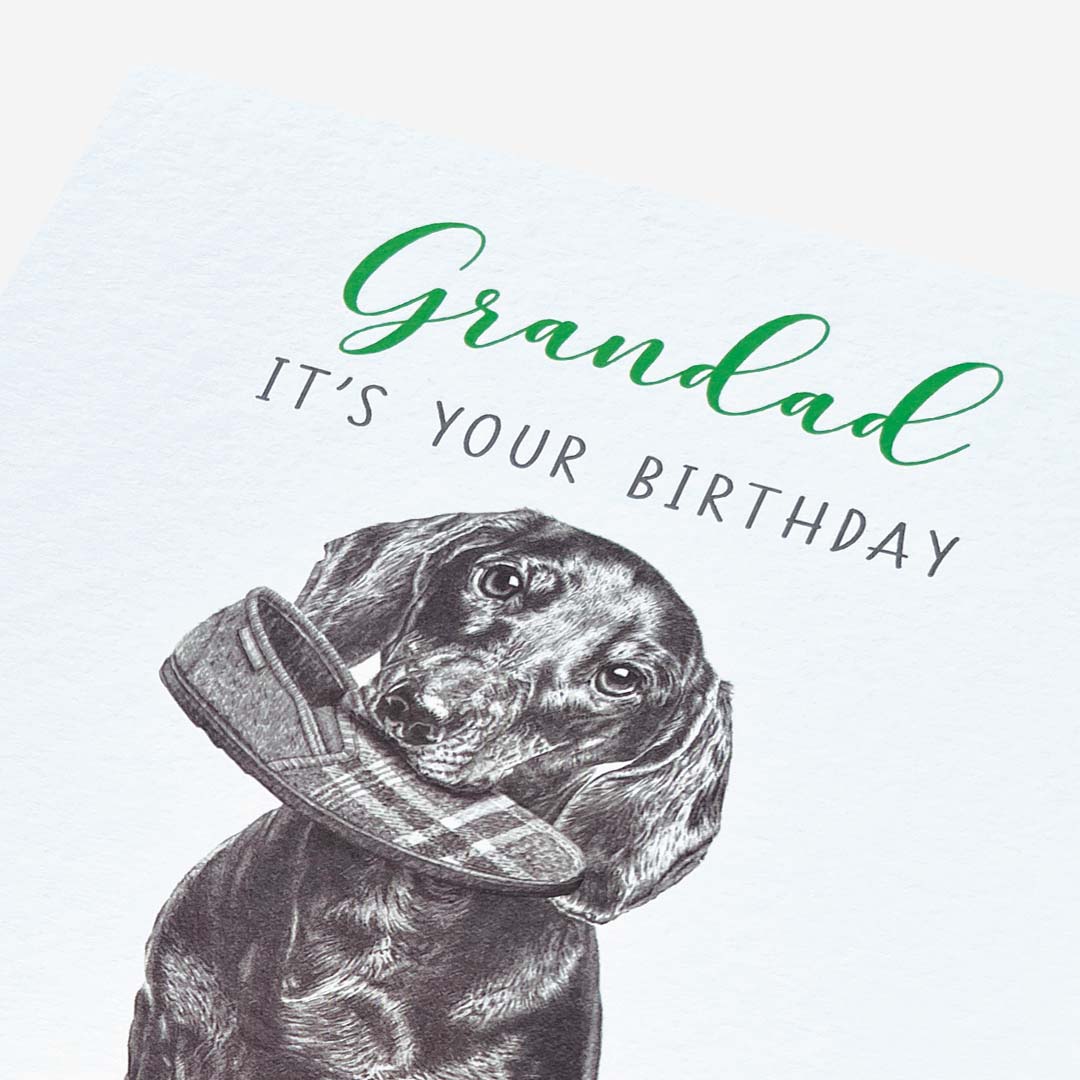 Paw, Nap, Repeat Sausage Dog Grandad Birthday Card