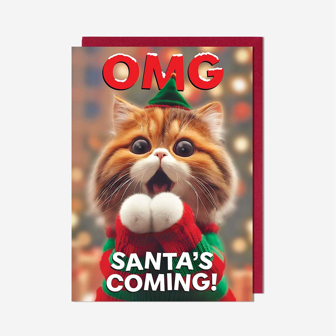 Omg Elf Cat Christmas Card