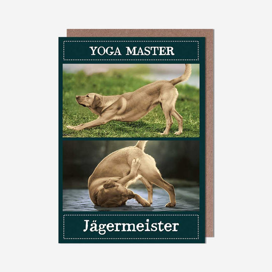 Yoga master dog