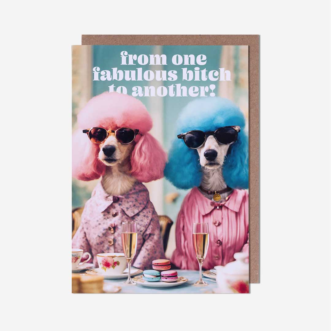From One Fabulous Bitch To Another! Birthday Card