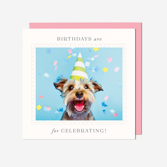 Happiest Birthday Dog Birthday Card