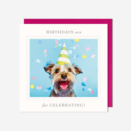 Happiest Birthday Dog Birthday Card
