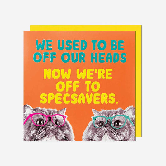 Specsaver cats