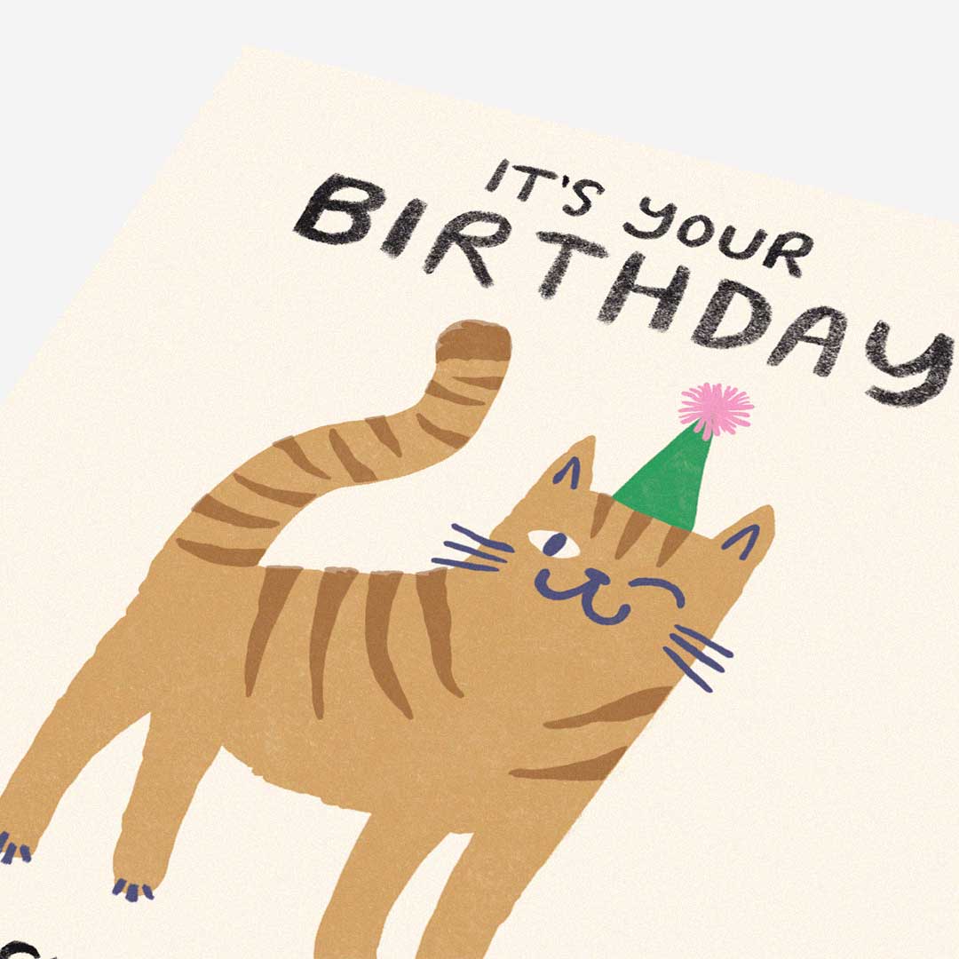 Cat licked cake