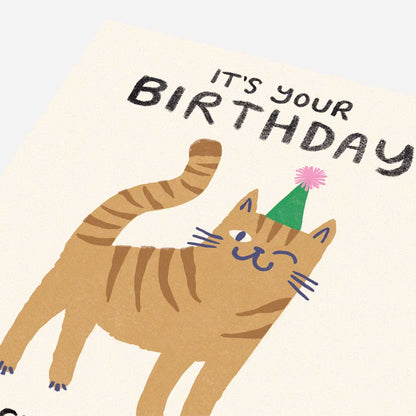 Cat licked cake