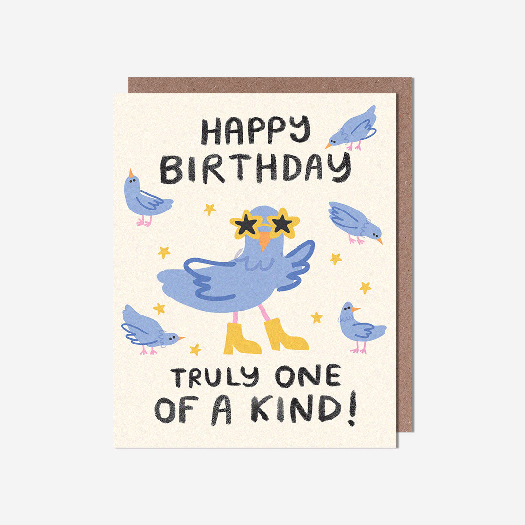 One of a kind pigeon