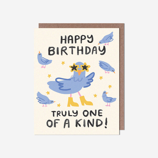 One of a kind pigeon