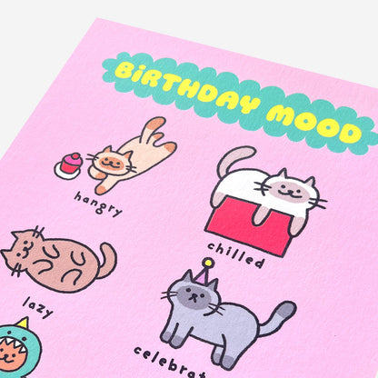 Cats birthday mood