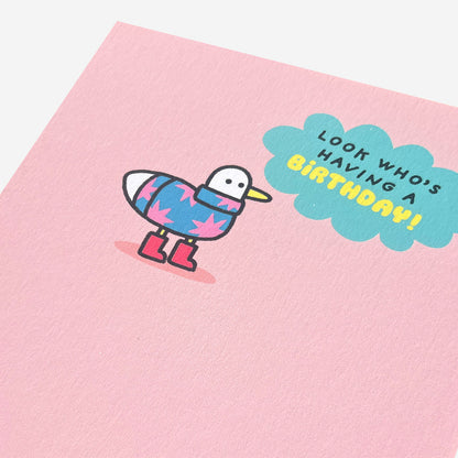 Duck in jumper