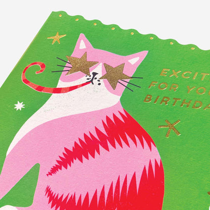 Excited cat with party popper