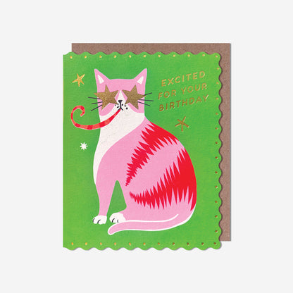Excited cat with party popper