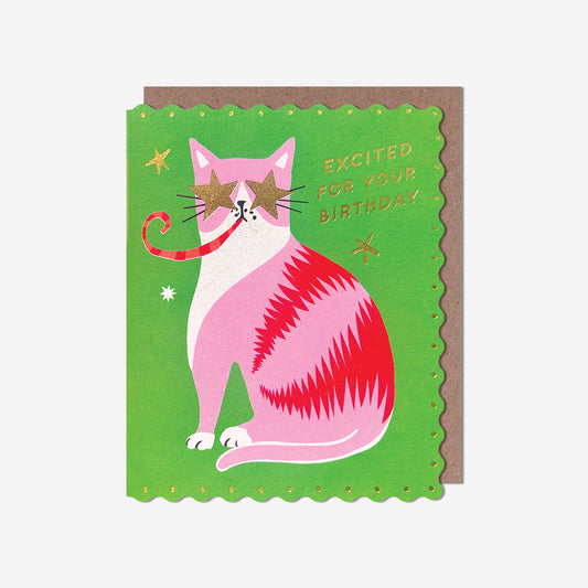 Excited cat with party popper