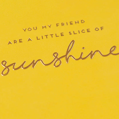 Little Slice Of Sunshine Friend Card