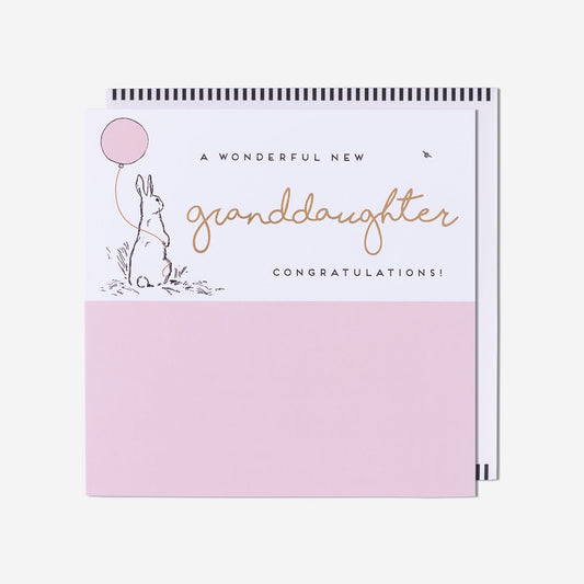 Rabbit Wonderful New Baby Granddaughter Card