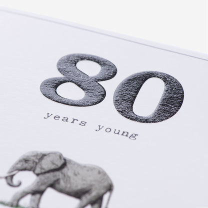 80 Age Is Irrelephant 80th Birthday Card