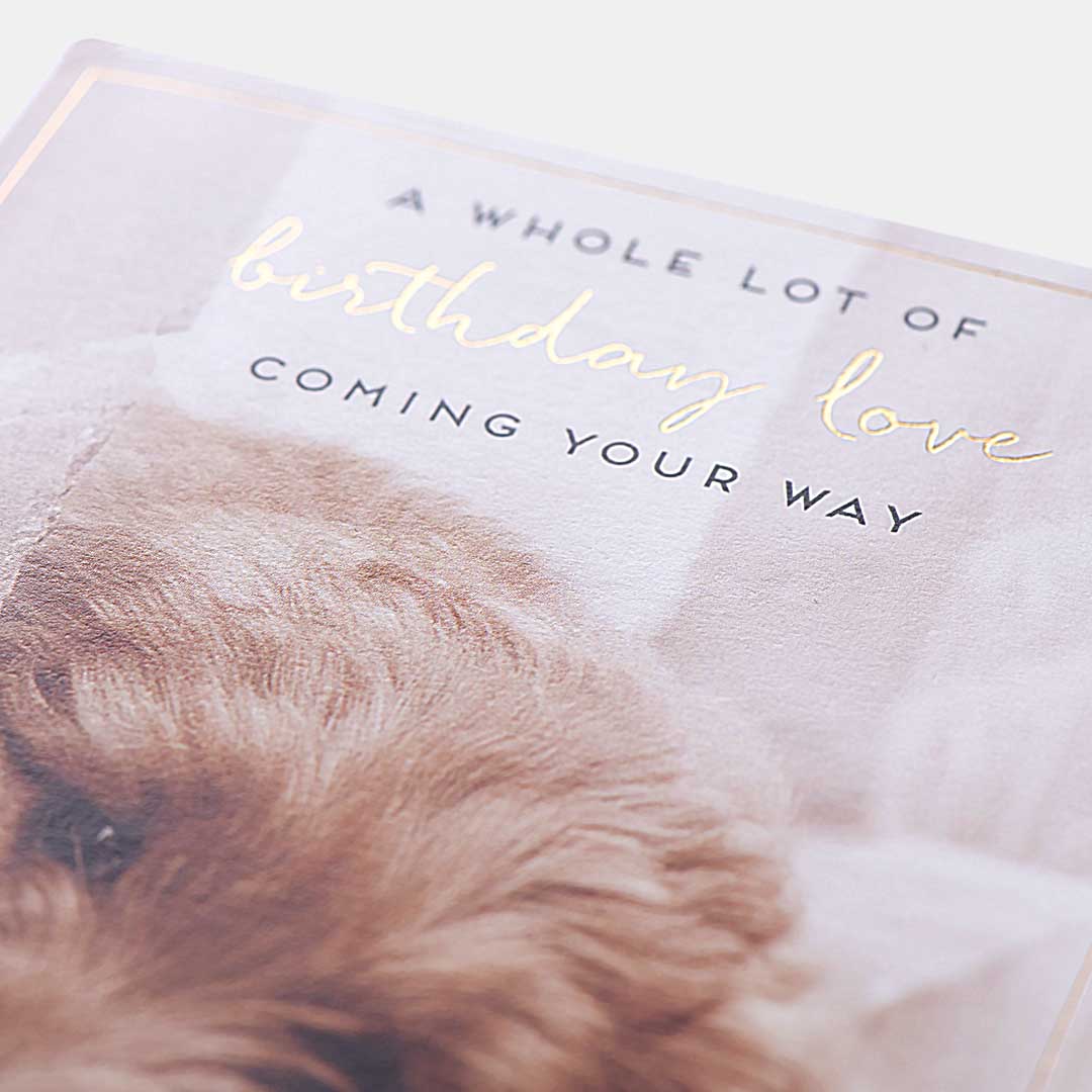 Puppy Love Birthday Card