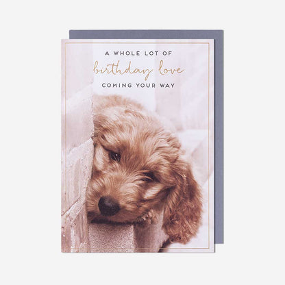 Puppy Love Birthday Card
