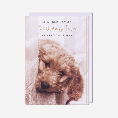 Puppy Love Birthday Card