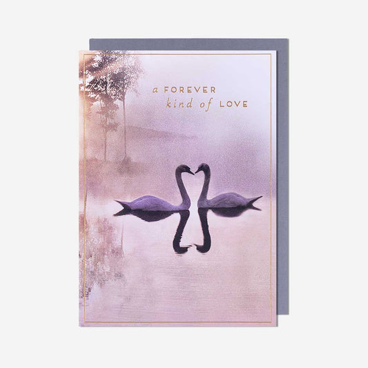 Swans Forever Kind Of Love General Card
