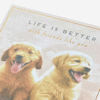 Friends like you dogs