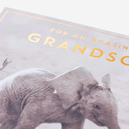 Baby Elephant Grandson Birthday Card