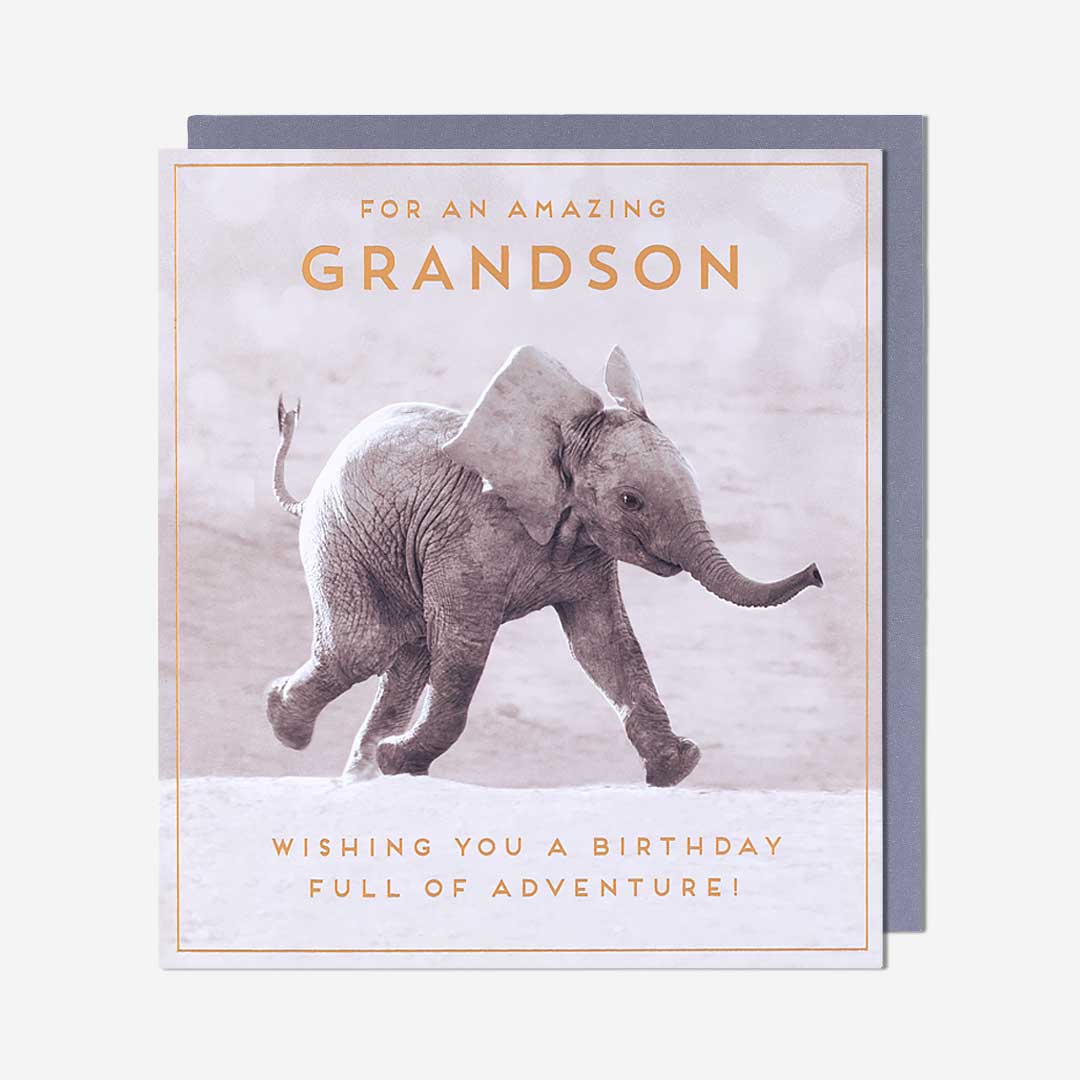 Baby Elephant Grandson Birthday Card
