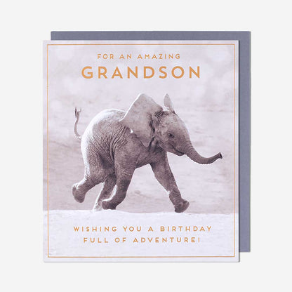 Baby Elephant Grandson Birthday Card