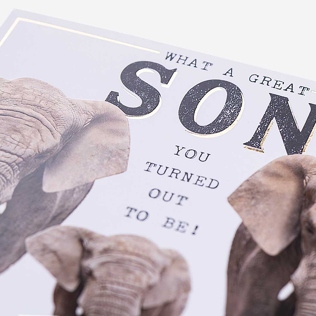 Elephant Turned Out Great Son Birthday Card