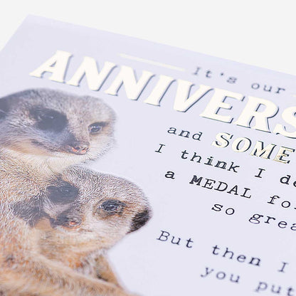 Meerkats Our Anniversary Card