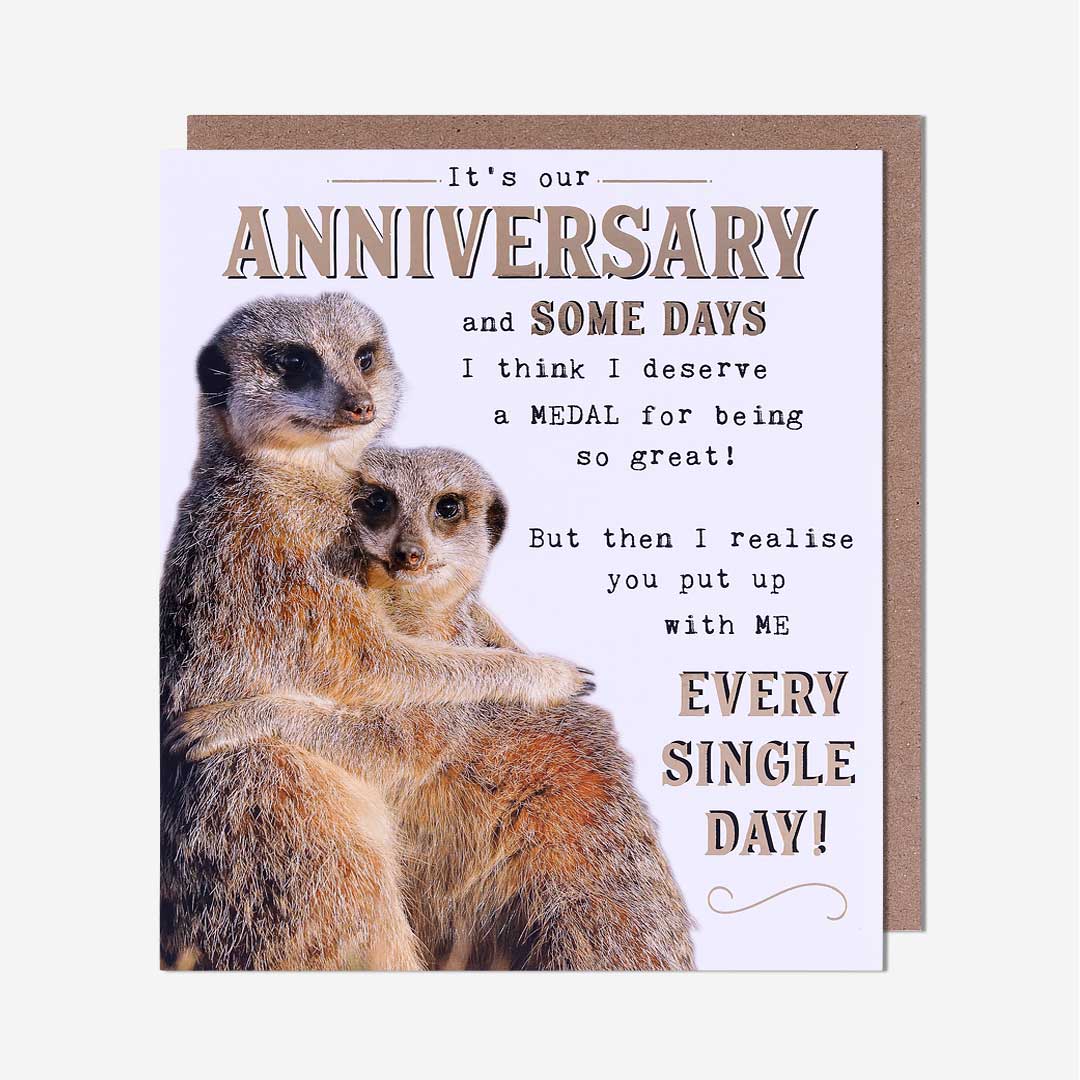 Meerkats Our Anniversary Card