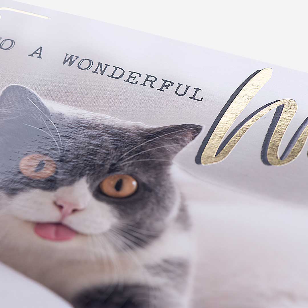 Critically Acclaimed Duvet Thief! Wife Birthday Card