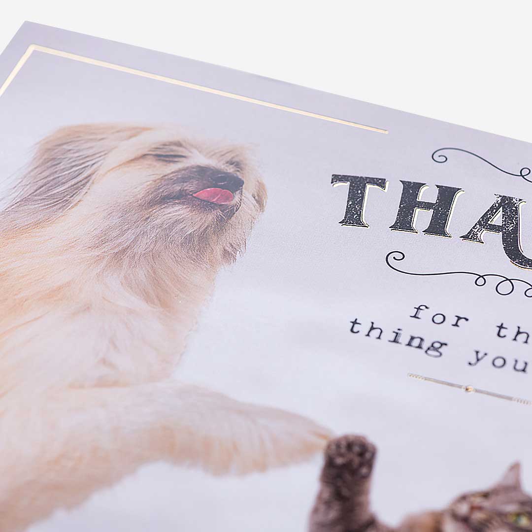 Dog & Cat High Five Thank You Card