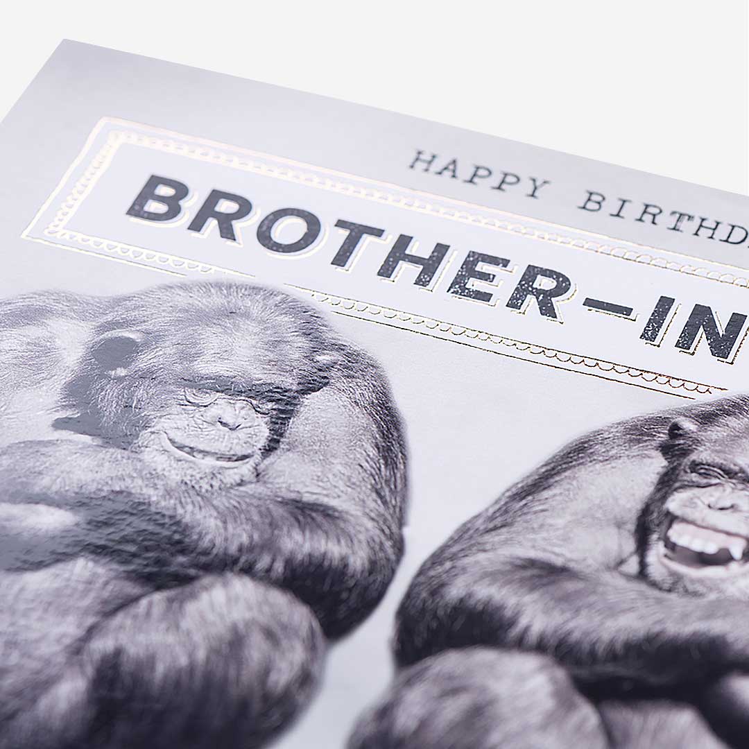 Brother-In-Law Monkey Family Madness Birthday Card