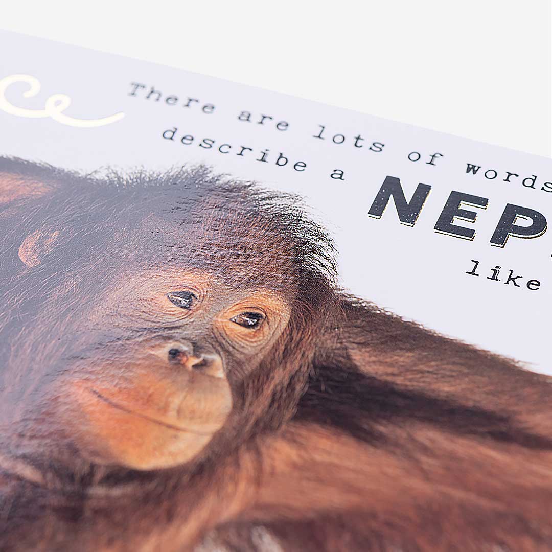 Orangutan Nephew Like You Birthday Card