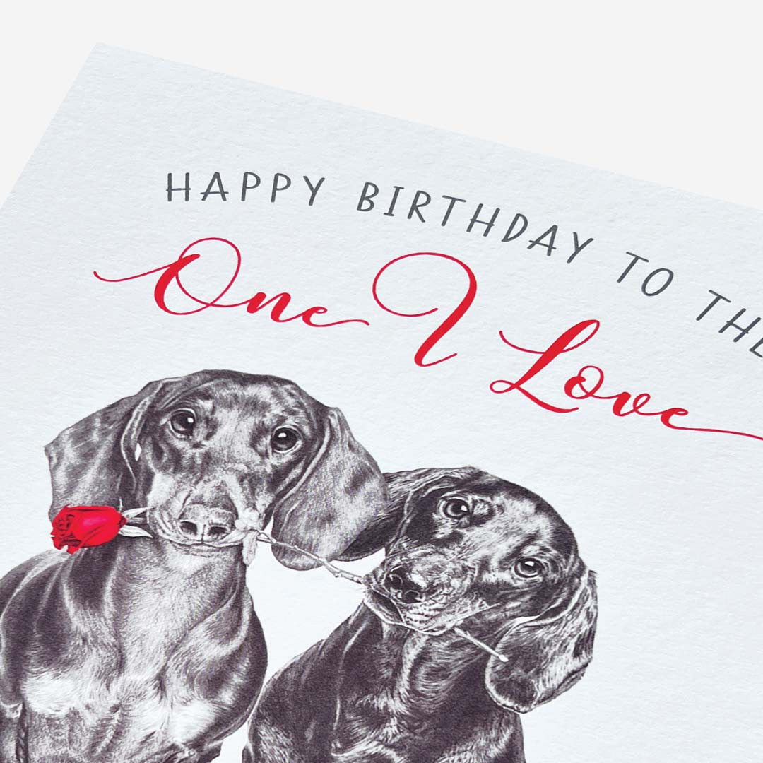 Sausage Dogs With Rose One I Love Birthday Card