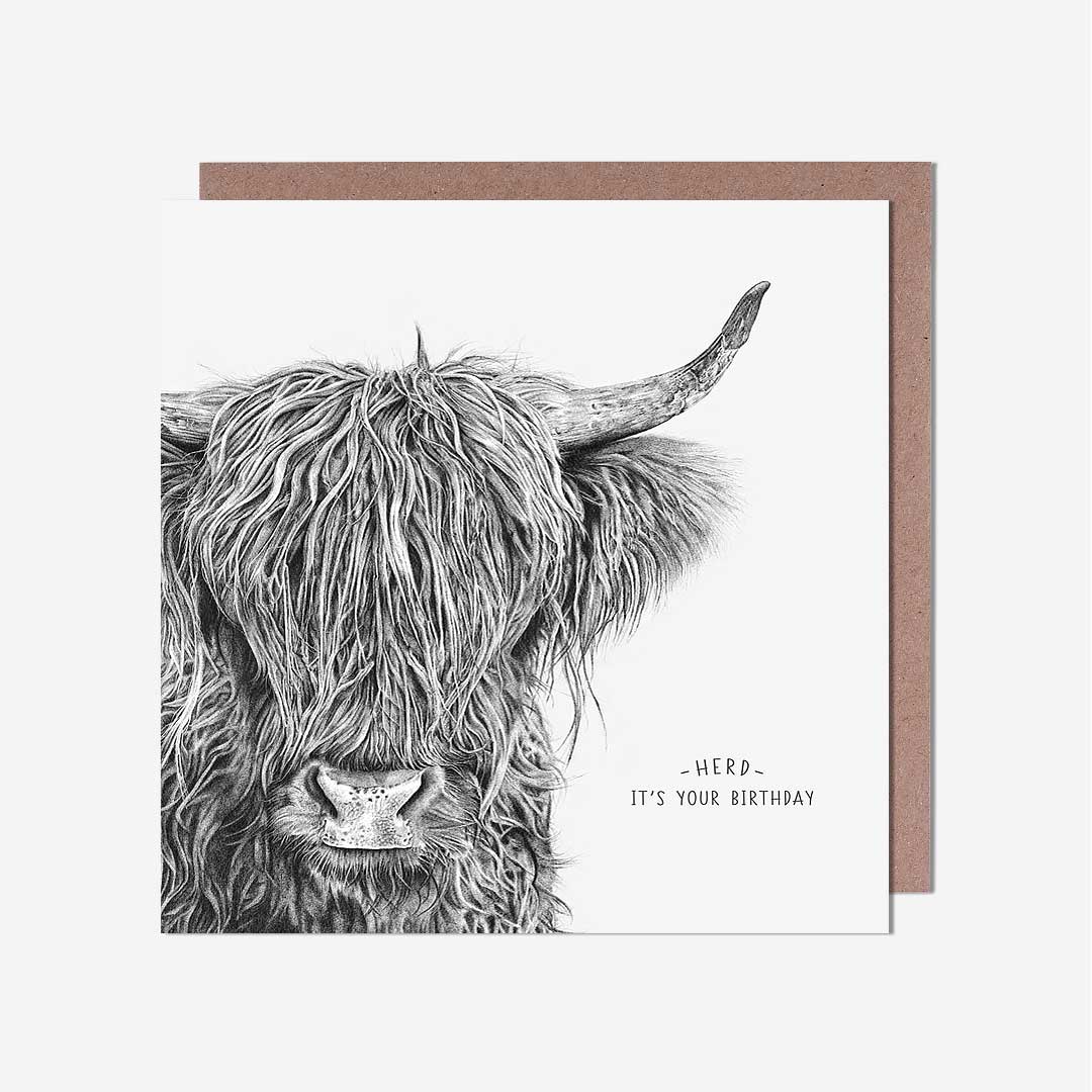 Highland Coo Pencil Drawing Birthday Card