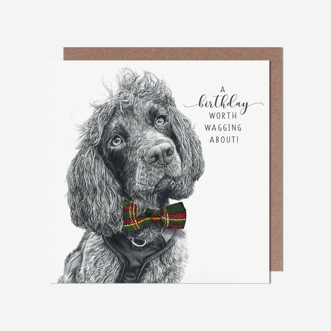 Clyde Bow Tie Birthday Card
